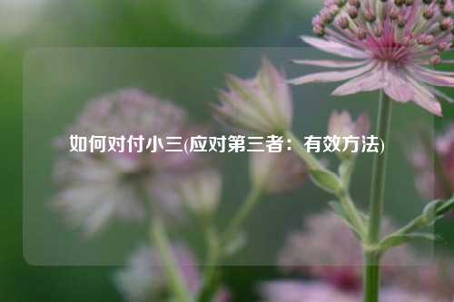 如何对付小三(应对第三者：有效方法)