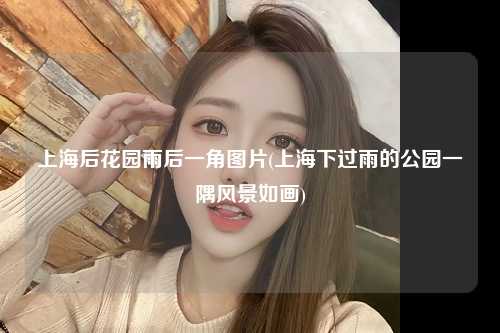 上海后花园雨后一角图片(上海下过雨的公园一隅风景如画)