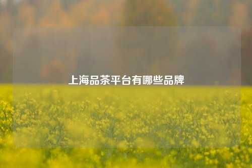 上海品茶平台有哪些品牌