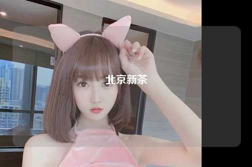 北京新茶