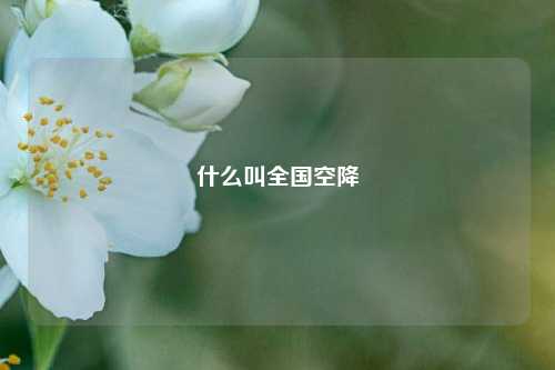 什么叫全国空降