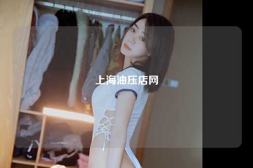 上海油压店网