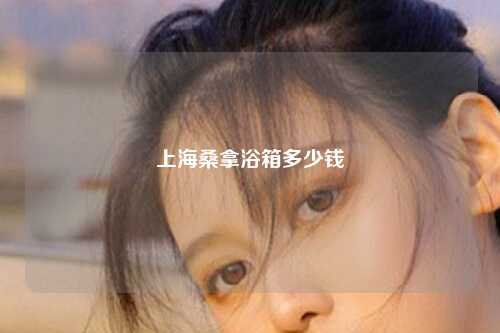 上海桑拿浴箱多少钱