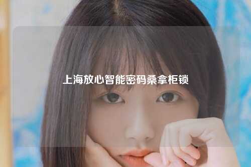 上海放心智能密码桑拿柜锁