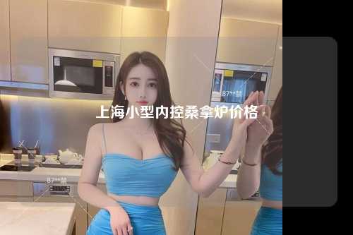 上海小型内控桑拿炉价格