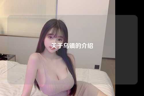 关于乌镇的介绍