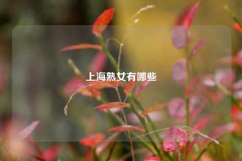 上海熟女有哪些