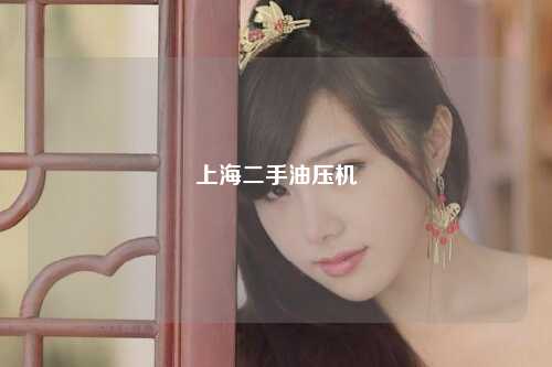 上海二手油压机
