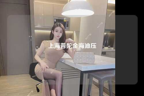 上海普陀金海油压