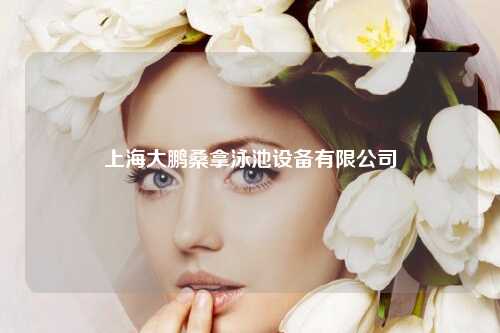 上海大鹏桑拿泳池设备有限公司